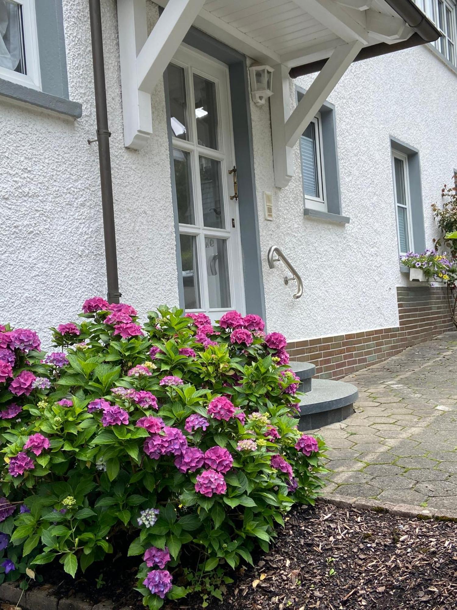 Pension / Ferienwohnung Allebrodt Леннештадт Екстер'єр фото